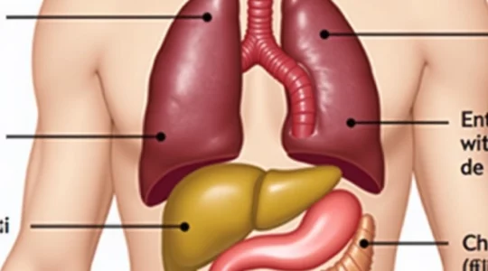 sharp-pain-under-the-right-ribs-causes